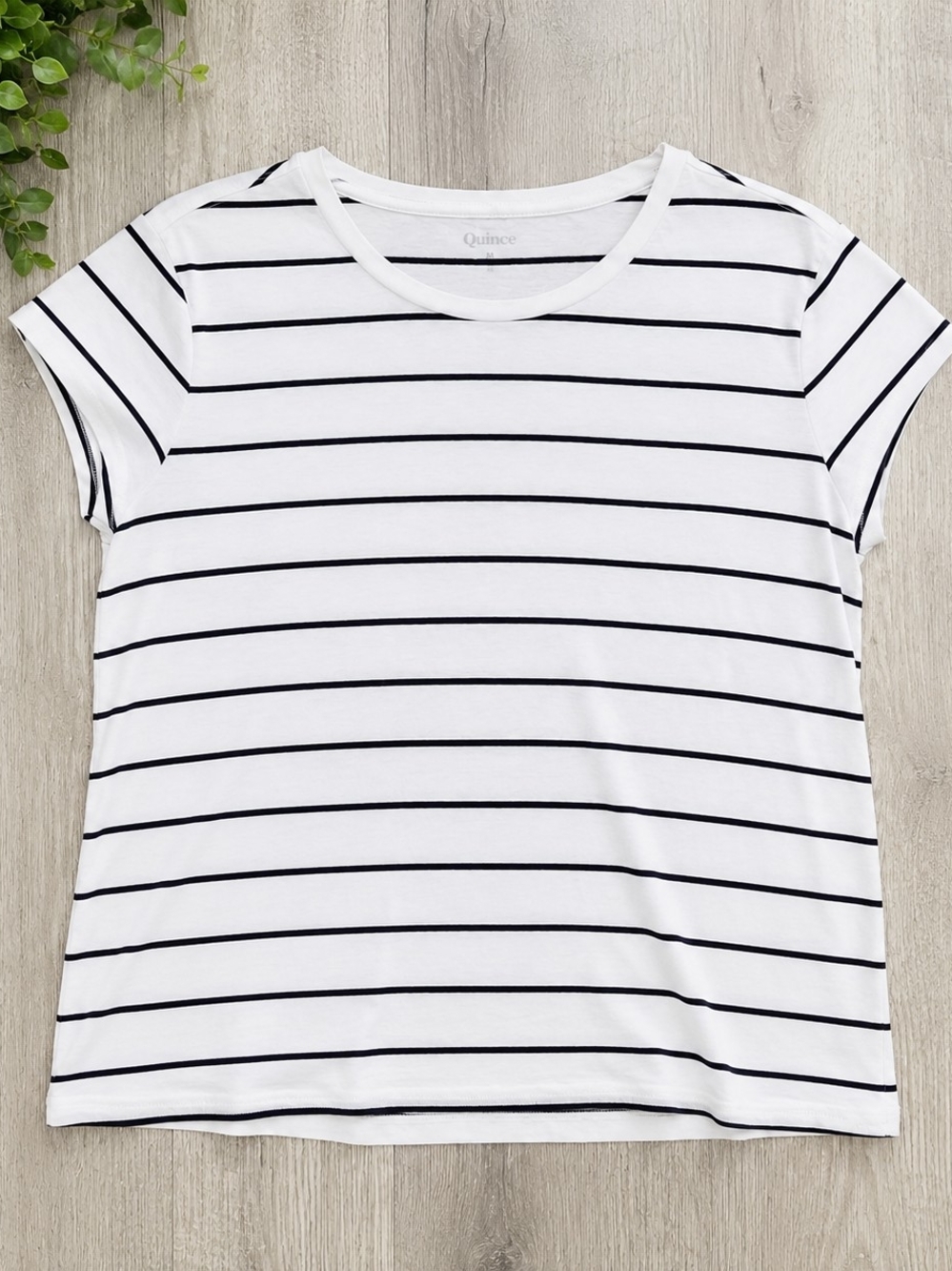 Quince Women's White & Black Stripe Cotton Modal Tee Shirt Medium